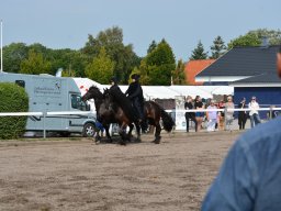 DSC_9232_web